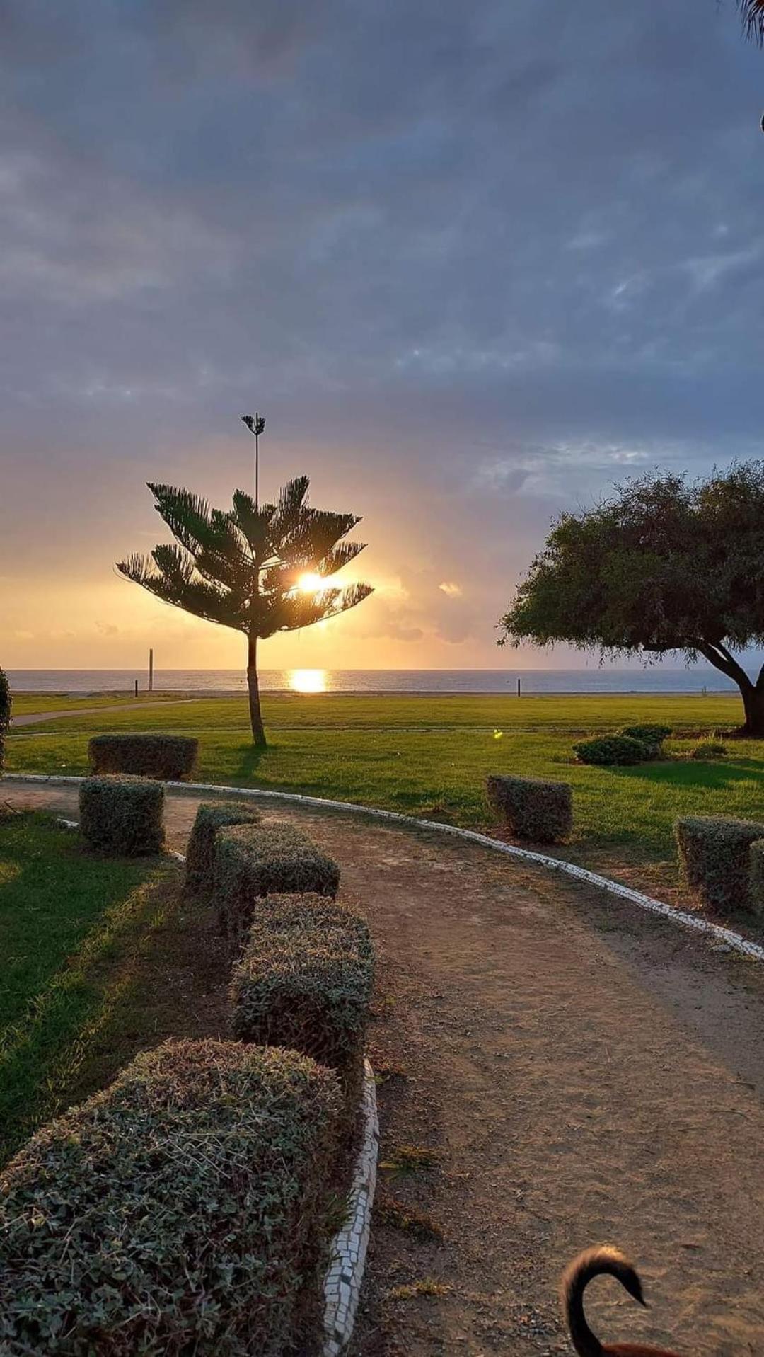Apartamento Magic World Nueva Marina D'Or 2 Dormitorios Edificio Torremar Oropesa del Mar Bagian luar foto